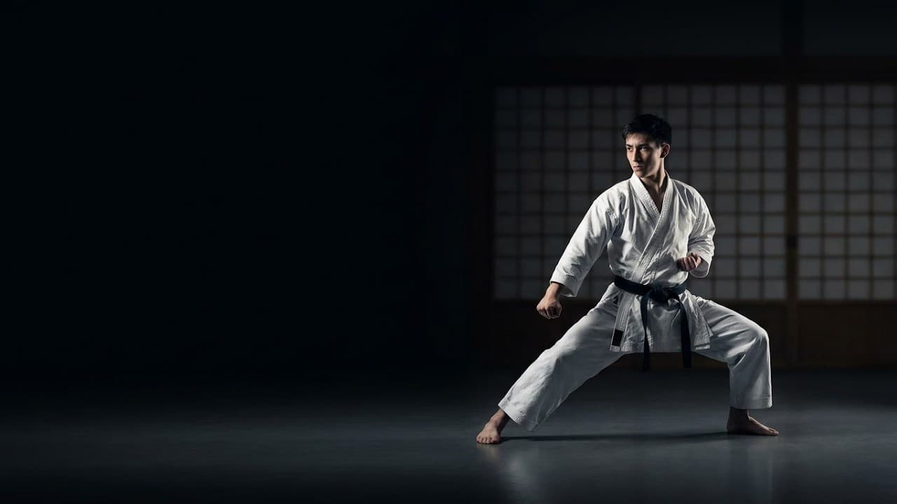 Shotokan promo — JLM Studios